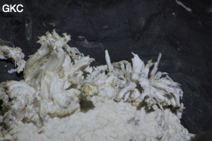 Fleur de gypse dans la Grotte de Pixiaodong 皮硝洞 - réseau de Shuanghedong 双河洞 - (Wenquan, Suiyang 绥阳, Zunyi 遵义市, Guizhou 贵州省, Chine 中国).