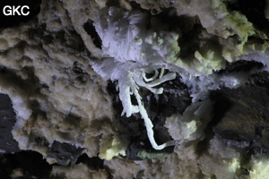 Fleur de gypse dans la Grotte de Pixiaodong 皮硝洞 - réseau de Shuanghedong 双河洞 - (Wenquan, Suiyang 绥阳, Zunyi 遵义市, Guizhou 贵州省, Chine 中国).