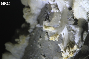 Grotte de Pixiaodong 皮硝洞 - réseau de Shuanghedong 双河洞 - (Wenquan, Suiyang 绥阳, Zunyi 遵义市, Guizhou 贵州省, Chine 中国).
