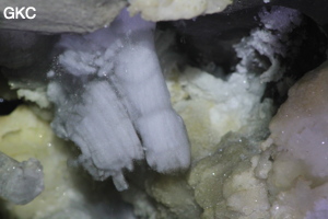 Grotte de Pixiaodong 皮硝洞 - réseau de Shuanghedong 双河洞 - (Wenquan, Suiyang 绥阳, Zunyi 遵义市, Guizhou 贵州省, Chine 中国).