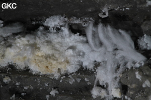 Grotte de Pixiaodong 皮硝洞 - réseau de Shuanghedong 双河洞 - (Wenquan, Suiyang 绥阳, Zunyi 遵义市, Guizhou 贵州省, Chine 中国).