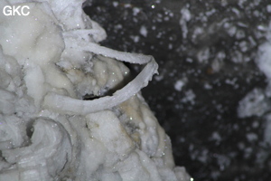Grotte de Pixiaodong 皮硝洞 - réseau de Shuanghedong 双河洞 - (Wenquan, Suiyang 绥阳, Zunyi 遵义市, Guizhou 贵州省, Chine 中国).