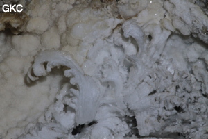 Grotte de Pixiaodong 皮硝洞 - réseau de Shuanghedong 双河洞 - (Wenquan, Suiyang 绥阳, Zunyi 遵义市, Guizhou 贵州省, Chine 中国).