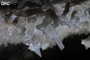 Grotte de Pixiaodong 皮硝洞 - réseau de Shuanghedong 双河洞 - (Wenquan, Suiyang 绥阳, Zunyi 遵义市, Guizhou 贵州省, Chine 中国).