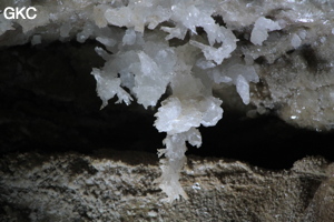 Grotte de Pixiaodong 皮硝洞 - réseau de Shuanghedong 双河洞 - (Wenquan, Suiyang 绥阳, Zunyi 遵义市, Guizhou 贵州省, Chine 中国).