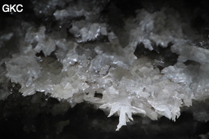 Grotte de Pixiaodong 皮硝洞 - réseau de Shuanghedong 双河洞 - (Wenquan, Suiyang 绥阳, Zunyi 遵义市, Guizhou 贵州省, Chine 中国).