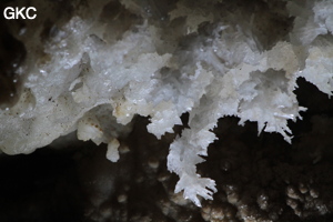 Grotte de Pixiaodong 皮硝洞 - réseau de Shuanghedong 双河洞 - (Wenquan, Suiyang 绥阳, Zunyi 遵义市, Guizhou 贵州省, Chine 中国).