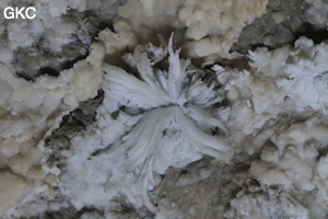 Fleur de gypse dans la Grotte de Pixiaodong 皮硝洞 - réseau de Shuanghedong 双河洞 - (Wenquan, Suiyang 绥阳, Zunyi 遵义市, Guizhou 贵州省, Chine 中国).