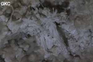 Fleur de gypse dans la Grotte de Pixiaodong 皮硝洞 - réseau de Shuanghedong 双河洞 - (Wenquan, Suiyang 绥阳, Zunyi 遵义市, Guizhou 贵州省, Chine 中国).