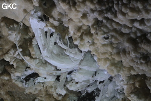 Grotte de Pixiaodong 皮硝洞 - réseau de Shuanghedong 双河洞 - (Wenquan, Suiyang 绥阳, Zunyi 遵义市, Guizhou 贵州省, Chine 中国).