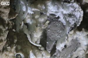 Grotte de Pixiaodong 皮硝洞 - réseau de Shuanghedong 双河洞 - (Wenquan, Suiyang 绥阳, Zunyi 遵义市, Guizhou 贵州省, Chine 中国).