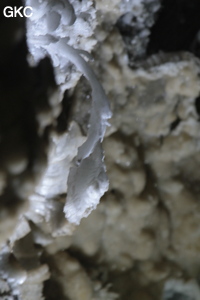 Grotte de Pixiaodong 皮硝洞 - réseau de Shuanghedong 双河洞 - (Wenquan, Suiyang 绥阳, Zunyi 遵义市, Guizhou 贵州省, Chine 中国).