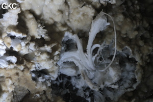 Grotte de Pixiaodong 皮硝洞 - réseau de Shuanghedong 双河洞 - (Wenquan, Suiyang 绥阳, Zunyi 遵义市, Guizhou 贵州省, Chine 中国).