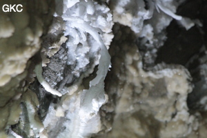 Grotte de Pixiaodong 皮硝洞 - réseau de Shuanghedong 双河洞 - (Wenquan, Suiyang 绥阳, Zunyi 遵义市, Guizhou 贵州省, Chine 中国).