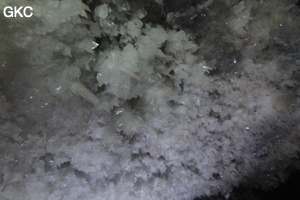 Grotte de Pixiaodong 皮硝洞 - réseau de Shuanghedong 双河洞 - (Wenquan, Suiyang 绥阳, Zunyi 遵义市, Guizhou 贵州省, Chine 中国).
