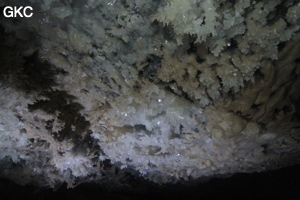 Grotte de Pixiaodong 皮硝洞 - réseau de Shuanghedong 双河洞 - (Wenquan, Suiyang 绥阳, Zunyi 遵义市, Guizhou 贵州省, Chine 中国).