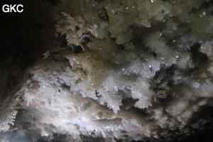 Grotte de Pixiaodong 皮硝洞 - réseau de Shuanghedong 双河洞 - (Wenquan, Suiyang 绥阳, Zunyi 遵义市, Guizhou 贵州省, Chine 中国).