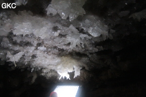 Grotte de Pixiaodong 皮硝洞 - réseau de Shuanghedong 双河洞 - (Wenquan, Suiyang 绥阳, Zunyi 遵义市, Guizhou 贵州省, Chine 中国).