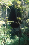 Fujiadadong