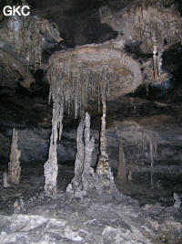 Concrétions dans la grotte de Lingshandong 灵山洞 - réseau de Mawangdong 麻王洞 -. (Fuyan, Zheng'an 正安, Zunyi Shi 遵义市, Guizhou 贵州省, Chine 中国)