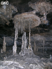 Concrétions dans la grotte de Lingshandong 灵山洞 - réseau de Mawangdong 麻王洞 -. (Fuyan, Zheng'an 正安, Zunyi Shi 遵义市, Guizhou 贵州省, Chine 中国)