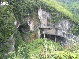 Le grand porche (largeur 90 m, hauteur 30 m) d'entrée de la grotte de Mawangdong 麻王洞. (Guizhou, Zunyi, Zheng'an, Fuyuan)