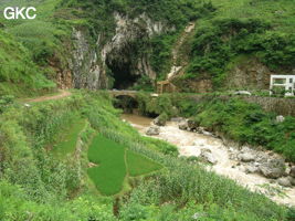 La puissante résurgence de la rivière Gesohe 革索出口, (Panxian 盘县, Liupanshui 六盘水市, Guizhou 贵州省, Chine).