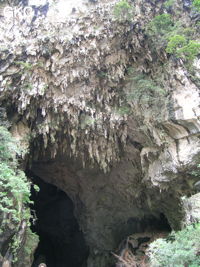 Concrétions phytokarstiques à la voûte du porche de la puissante résurgence de la rivière Gesohe 革索出口, (Panxian 盘县, Liupanshui 六盘水市, Guizhou 贵州省, Chine).