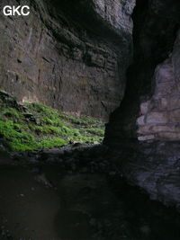 Galerie d'entrée de Yinhedong 阴河洞. (Suiyang 绥阳, Zunyi Shi 遵义市, Guizhou 贵州省, Chine)