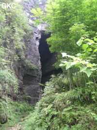 Yinhedong