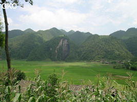Dadong
