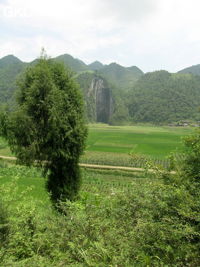 Le porche d'entrée de Dadong 大洞, ouverture béante sur la bordure nord du poljé de Rangshuiba. (Suiyang 绥阳, Zunyi 遵义市, Guizhou 贵州省, Chine).