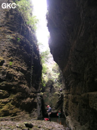 Franchissement d'un ressaut dans le court canyon situé entre l'arche et l'entrée actuelle de la grotte de Longqiaogedong (Grotte de la pagode de l'arche du dragon) 龙桥阁洞,  réseau de Longnudong 龙女洞. (Shipin, Zheng'an 正安, Zunyi Shi 遵义市, Guizhou 贵州省, Chine 中国)