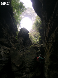 Franchissement d'un ressaut dans le court canyon situé entre l'arche et l'entrée actuelle de la grotte de Longqiaogedong (Grotte de la pagode de l'arche du dragon) 龙桥阁洞,  réseau de Longnudong 龙女洞. (Shipin, Zheng'an 正安, Zunyi Shi 遵义市, Guizhou 贵州省, Chine 中国)