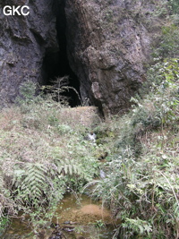 Le porche d'entrée de la grotte résurgence de Dadong 大洞 (hauteur 25 m largeur 12m) est visible de la route. Seule une ouverture dans la partie basse du mur de fortification laisse passer le ruisseau qui sort de la cavité. (Wuluo, district autonome Miao de Songtao 松桃苗族自治县, Tongren, Guizhou)