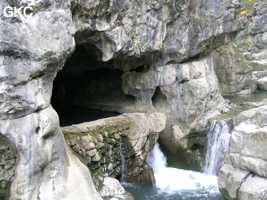 La résurgence murée de  Longtanzi dong 龙塘子洞 s'ouvre en rive droite du canyon. C'est un ensemble conduite forcée recoupée par le canyon.  (Banzhu, Zheng'an 正安, Zunyi, Guizhou)