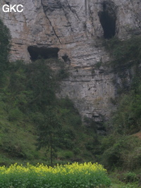 Les entrées en falaise de la grotte de Baiyangou (grotte de la falaise blanche) 白岩沟 (Shipin, Zheng'an, Guizhou)