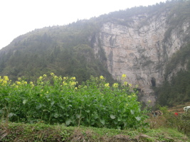 Les entrées en falaise de la grotte de Baiyangou (grotte de la falaise blanche) 白岩沟 (Shipin, Zheng'an, Guizhou)