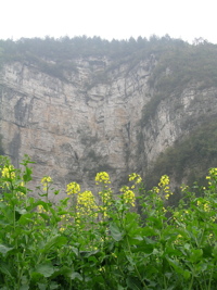 Temple niché dans le haut de la falaise qui domine les entrées de la grotte de Baiyangou (grotte de la falaise blanche) 白岩沟 (Shipin, Zheng'an, Guizhou)