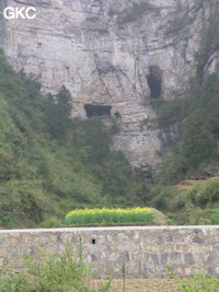 Les entrées en falaise de la grotte de Baiyangou (grotte de la falaise blanche) 白岩沟 (Shipin, Zheng'an, Guizhou)