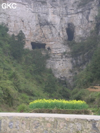 Les entrées en falaise de la grotte de Baiyangou (grotte de la falaise blanche) 白岩沟 (Shipin, Zheng'an, Guizhou)