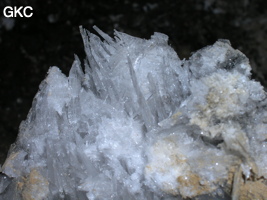 Grotte de Pixiaodong 皮硝洞 - réseau de Shuanghedong 双河洞 - (Wenquan, Suiyang 绥阳, Zunyi 遵义市, Guizhou 贵州省, Chine 中国).