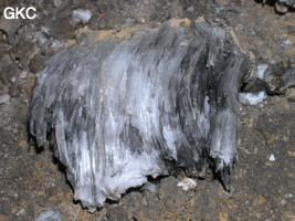 Grotte de Pixiaodong 皮硝洞 - réseau de Shuanghedong 双河洞 - (Wenquan, Suiyang 绥阳, Zunyi 遵义市, Guizhou 贵州省, Chine 中国).