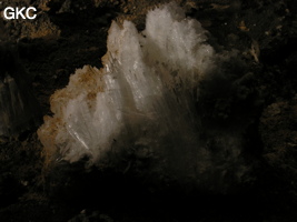 Grotte de Pixiaodong 皮硝洞 - réseau de Shuanghedong 双河洞 - (Wenquan, Suiyang 绥阳, Zunyi 遵义市, Guizhou 贵州省, Chine 中国).