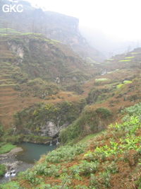 Une grande vasque suit immédiatement la sortie du petit canyon où s'ouvre la résurgence murée de  Longtanzi dong 龙塘子洞 (à gauche). (Banzhu, Zheng'an 正安, Zunyi, Guizhou)