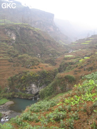 Une grande vasque suit immédiatement la sortie du petit canyon où s'ouvre la résurgence murée de  Longtanzi dong 龙塘子洞 (à gauche). (Banzhu, Zheng'an 正安, Zunyi, Guizhou)