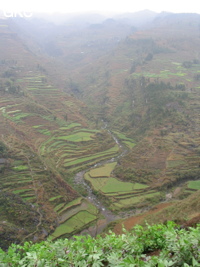 Dans la vallée bien cultivée aux nombreuses terrasses on aperçoit à mi hauteur le porche d'entrée de l'exsurgence de Mawandong 麻湾洞 (Grotte du virage). (Banzhu, Zheng'an, Zunyi, Guizhou)