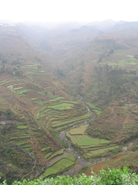 Dans la vallée bien cultivée aux nombreuses terrasses on aperçoit à mi hauteur le porche d'entrée de l'exsurgence de Mawandong 麻湾洞 (Grotte du virage). (Banzhu, Zheng'an, Zunyi, Guizhou)