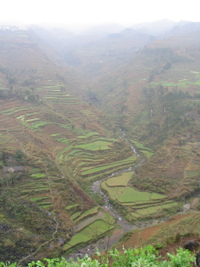 Dans la vallée bien cultivée aux nombreuses terrasses on aperçoit à mi hauteur le porche d'entrée de l'exsurgence de Mawandong 麻湾洞 (Grotte du virage). (Banzhu, Zheng'an, Zunyi, Guizhou)