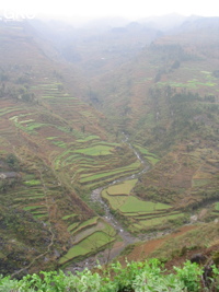 Dans la vallée bien cultivée aux nombreuses terrasses on aperçoit à mi hauteur le porche d'entrée de l'exsurgence de Mawandong 麻湾洞 (Grotte du virage). (Banzhu, Zheng'an, Zunyi, Guizhou)